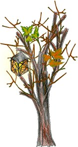 облетевший клён с фонарём